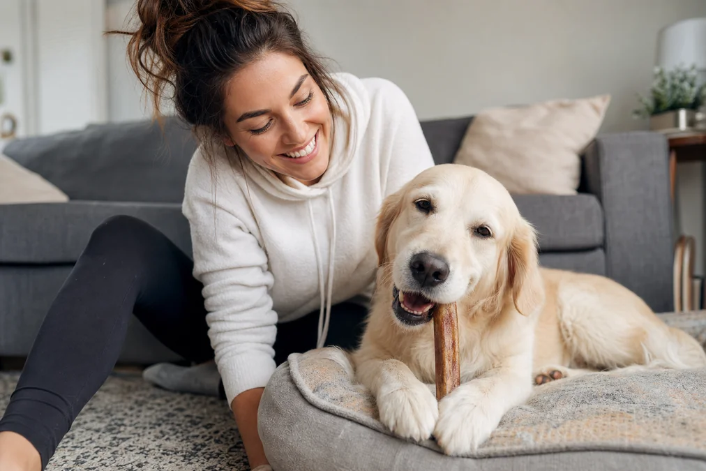 Happy dog owner review moment