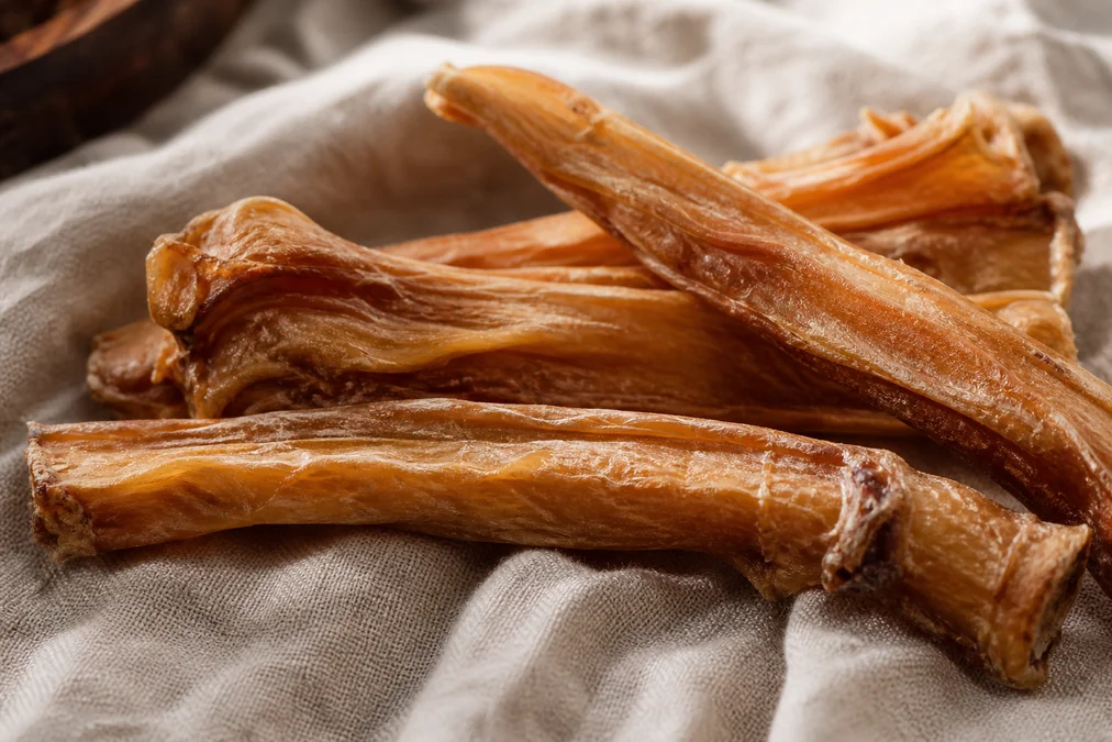 Dried turkey tendon dog chews close up