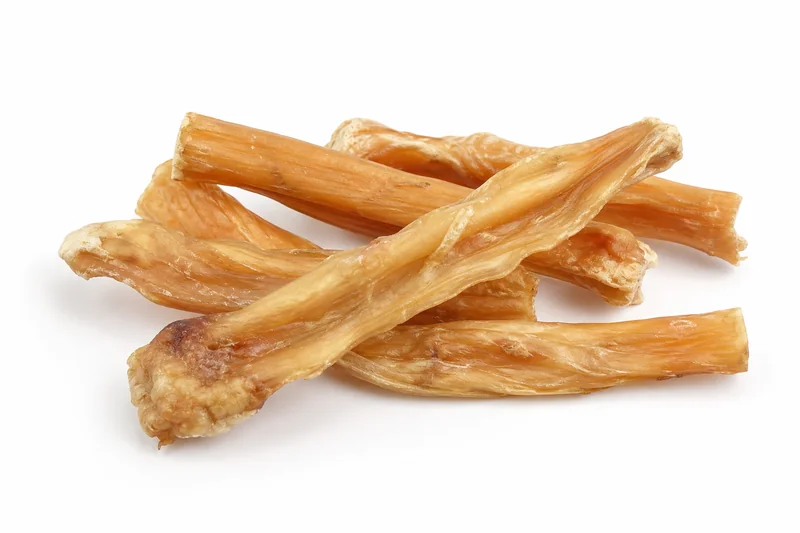 Dried turkey tendon dog chews
